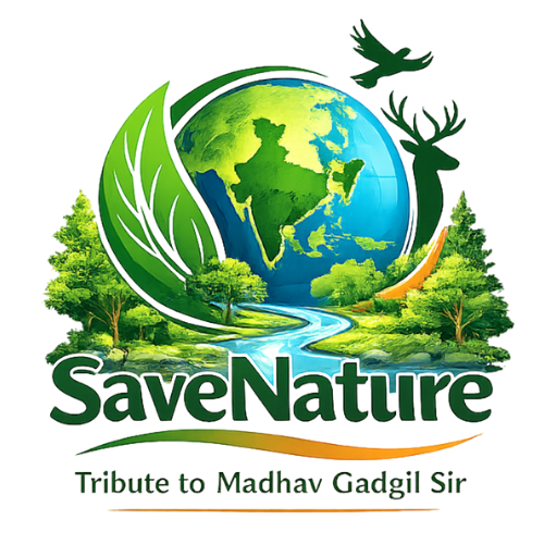 untitled design (25)